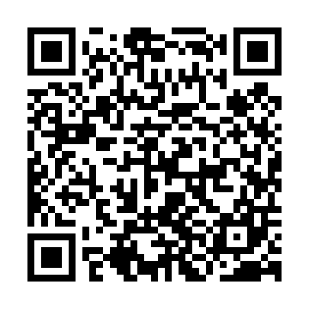 QR code for INI407