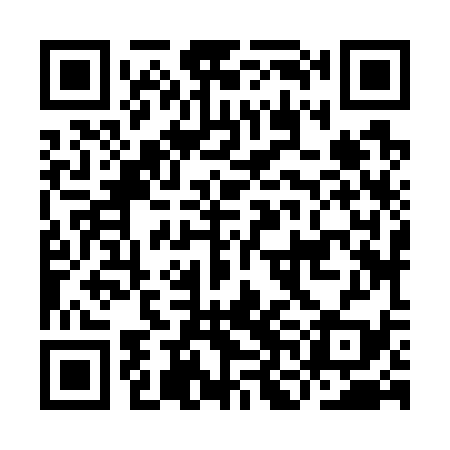 QR code for INJ739