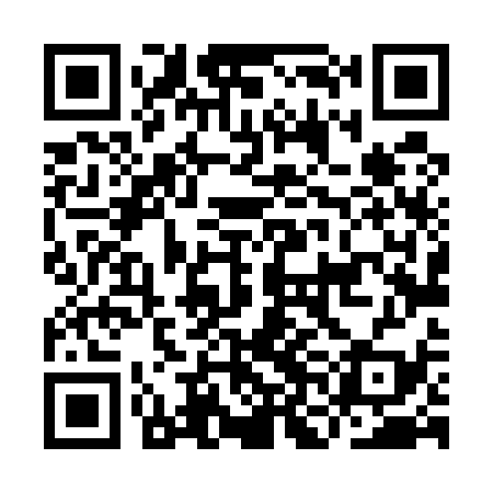 QR code for INL539