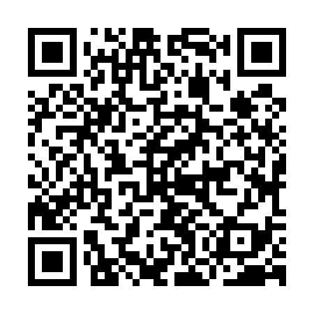 QR code for IOJ539