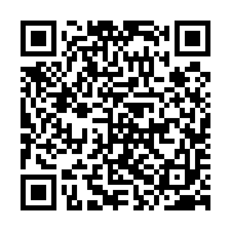 QR code for IPF593