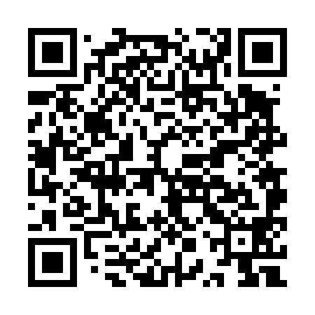 QR code for IPV498