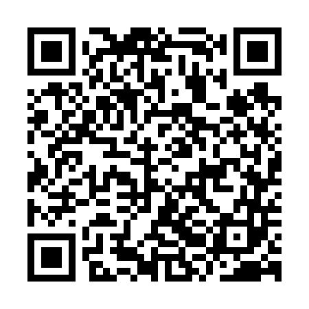 QR code for IRG643