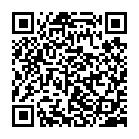 QR code for IRG699