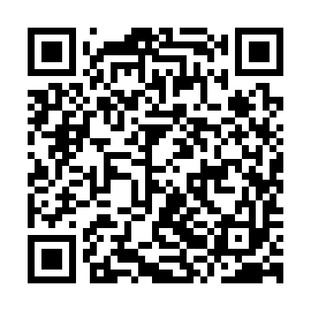 QR code for IRI393