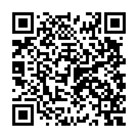 QR code for IRV417