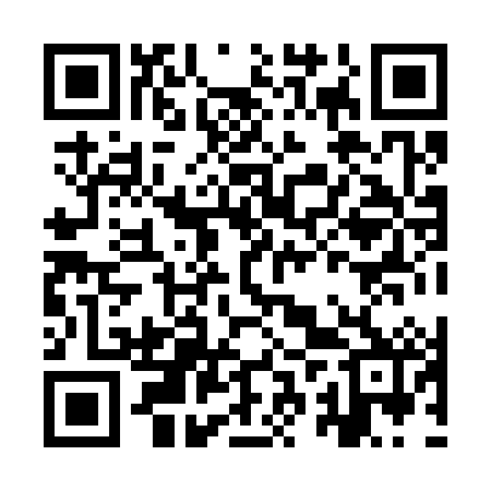 QR code for IRX382