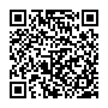 QR code for ISK384