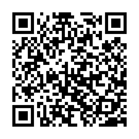QR code for IZT409