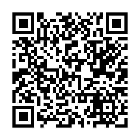 QR code for IZV387