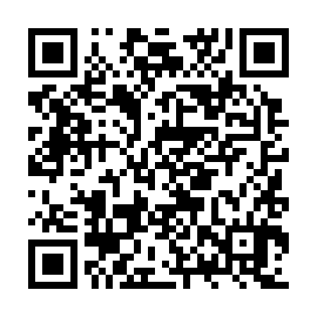 QR code for JPT384