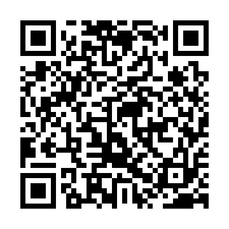 QR code for JPW313