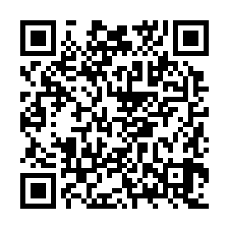 QR code for JPZ389