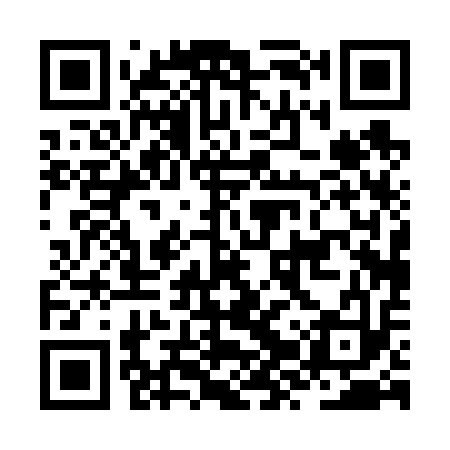 QR code for JZP613