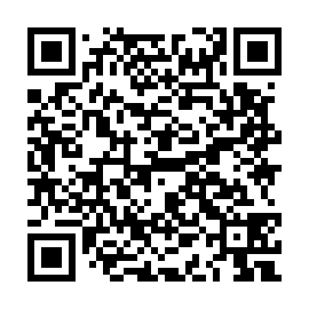 QR code for LAI538