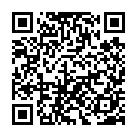 QR code for LAN600