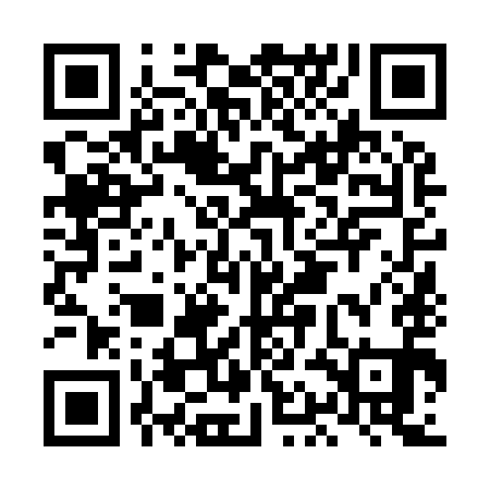 QR code for LAN991