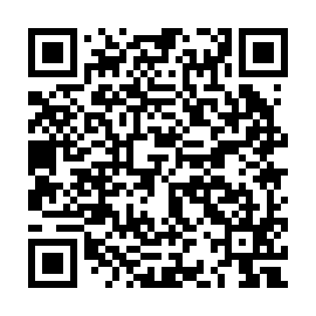QR code for LBQ295