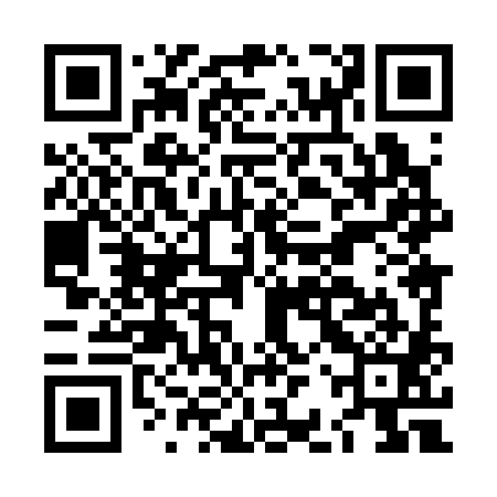 QR code for LBX381