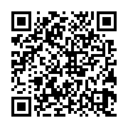 QR code for LDG729