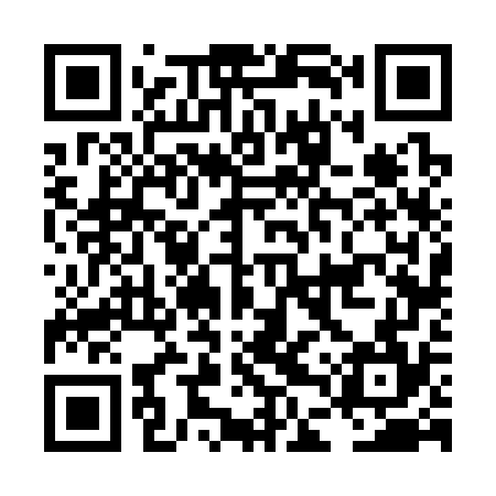 QR code for LDV374