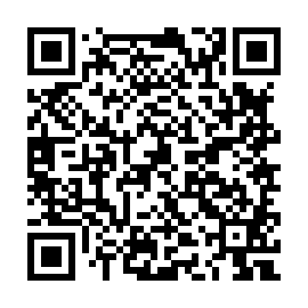 QR code for LDZ881