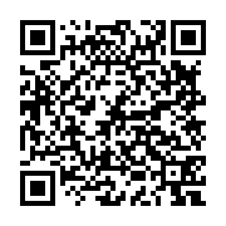QR code for LEO870