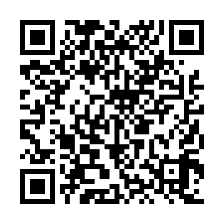 QR code for LIB419