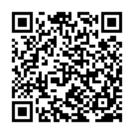 QR code for LIE594