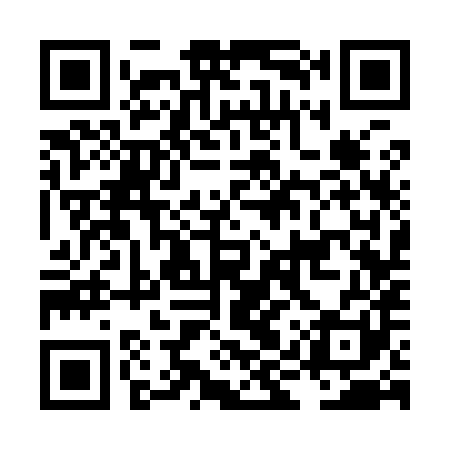 QR code for LIS981