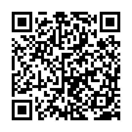 QR code for LIZ241