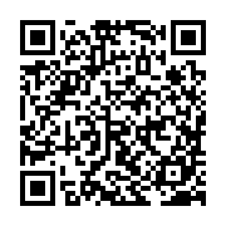 QR code for LIZ385