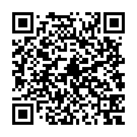 QR code for LKV538