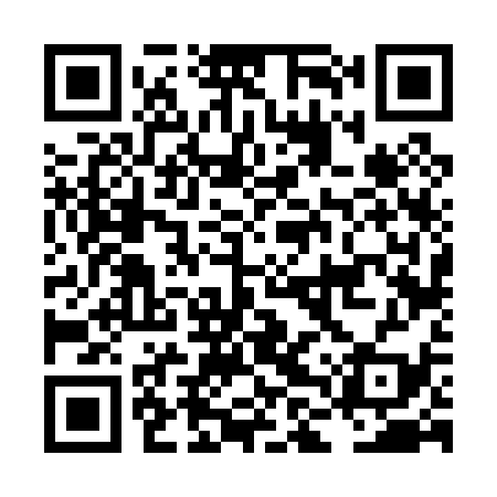 QR code for LLV039