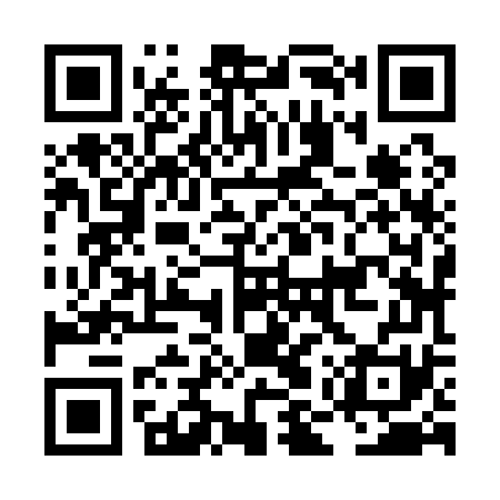 QR code for LMZ171
