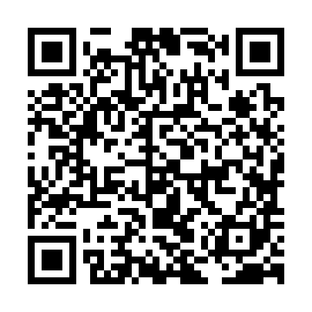 QR code for LMZ381