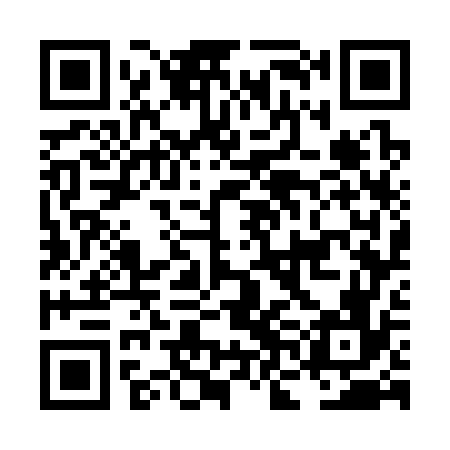 QR code for LNG376