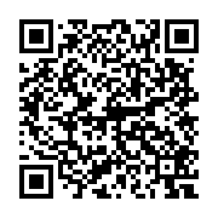 QR code for LOO509