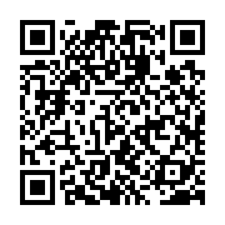 QR code for LQR729