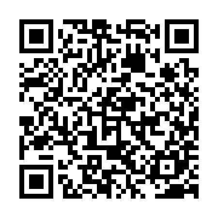 QR code for LSU385
