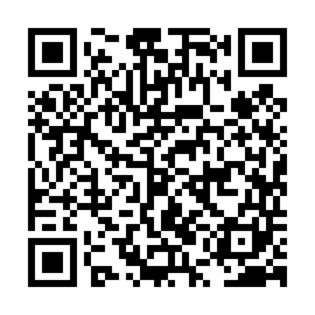 QR code for LUI441