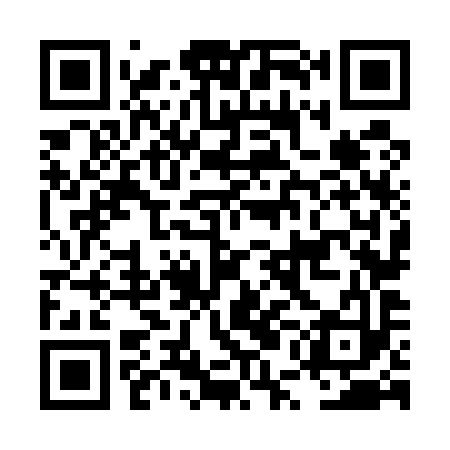QR code for LUN593