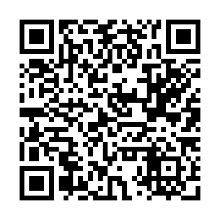QR code for LXV381