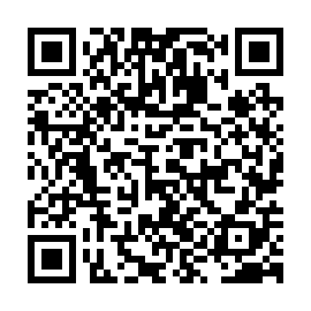 QR code for LYN208