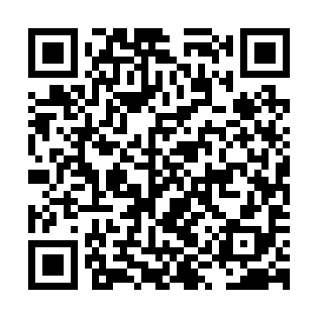 QR code for LYU298