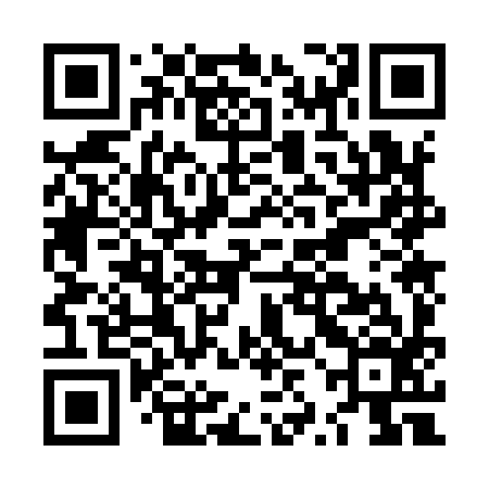 QR code for LZO996