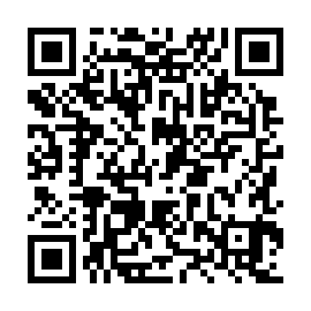 QR code for LZX381
