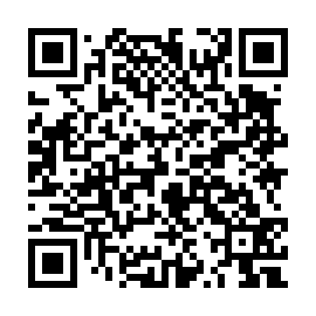 QR code for LZY433