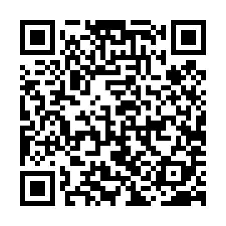 QR code for MAD489