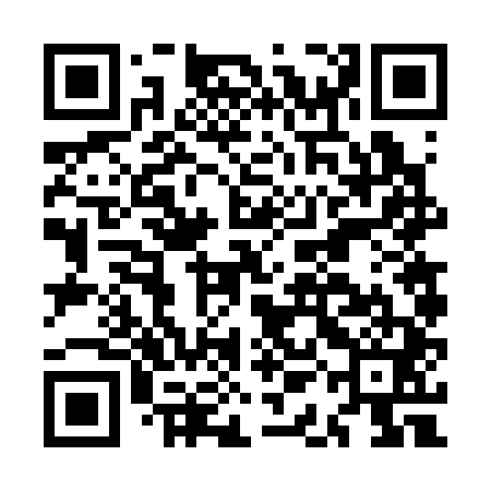 QR code for MAF341